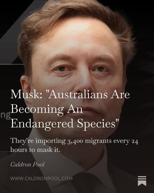 Juliett59778255's tweet image. Aussies Eye On Australia
·
Even Musk can see it!
#Elon_Musk 
#IstandwithBenRobertsSmith
#AustraliaFirst
#AustraliansFirst
#ENOUGHisENOUGH
#MarchonCanberraApril26
#AussieMemeCo