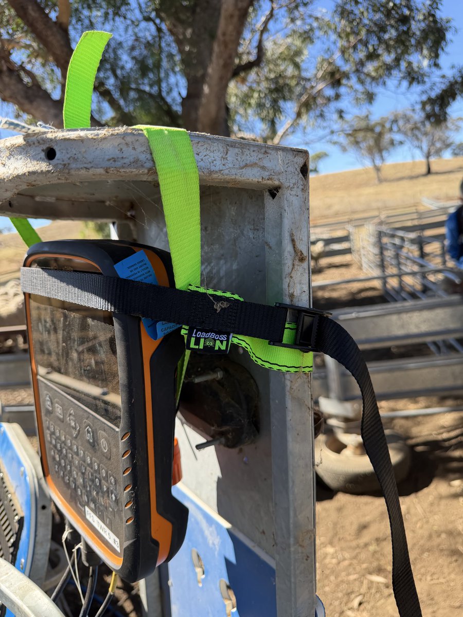 4FlocksSake's tweet photo. No mount no worries - a few straps wil sort  it if your crap with wire - high tech solutions only https://t.co/lWwNmdSJjA
