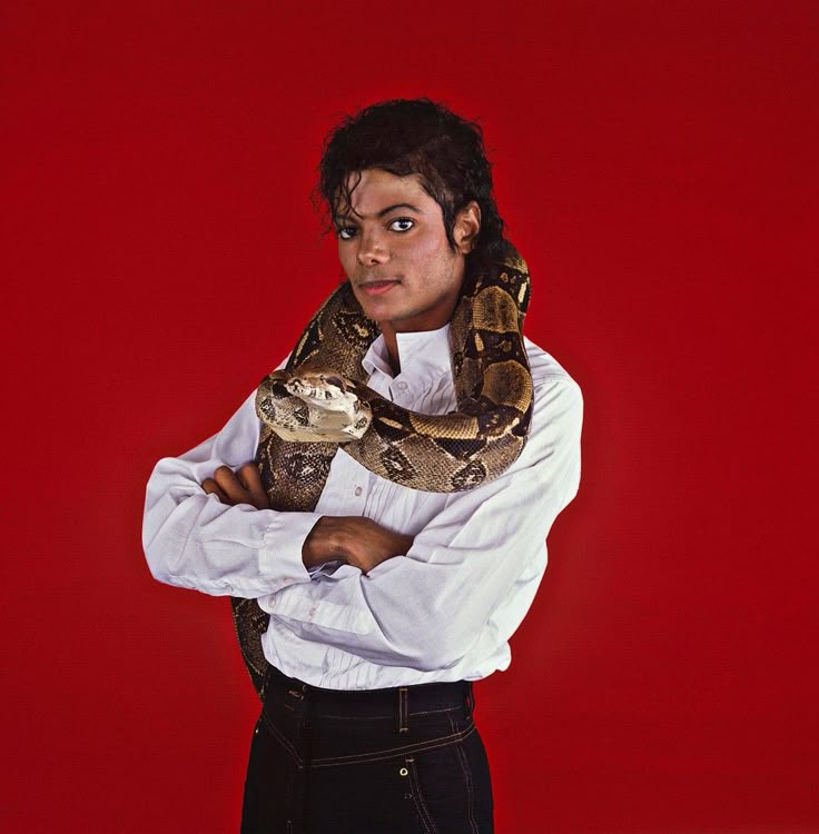 lαrιѕѕα tweet media