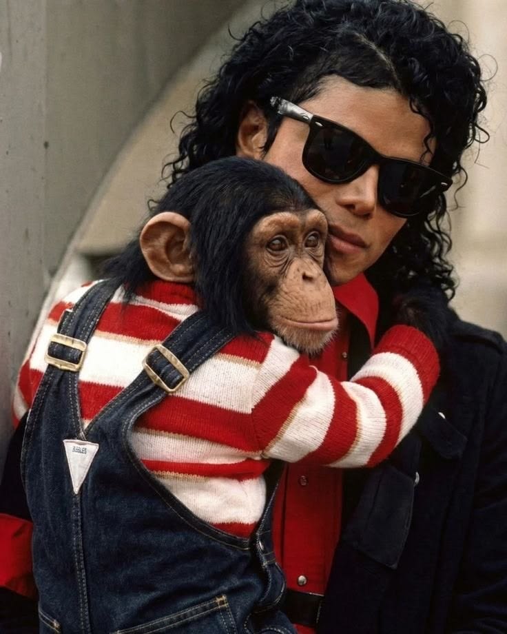 lαrιѕѕα tweet media