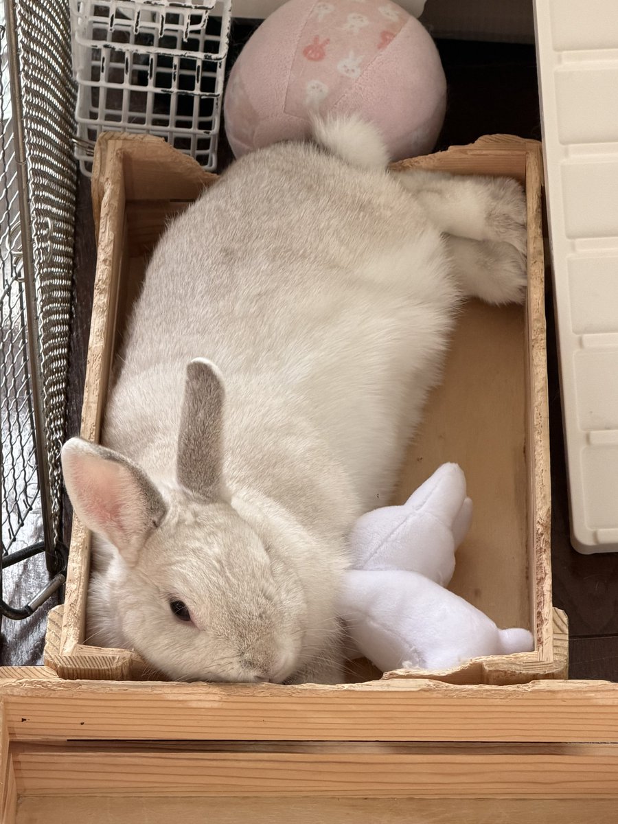 れいん tweet media