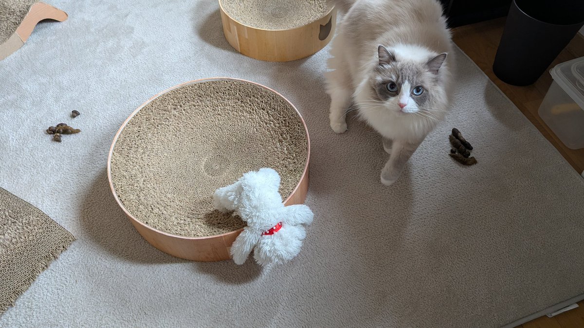 𝖋𝖑𝖒 tweet media