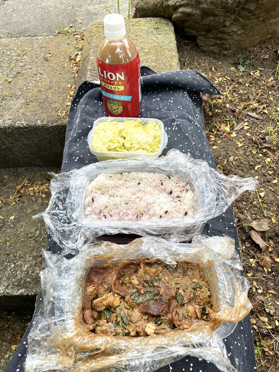 今日のお昼もコールスローとホイコーロー。
甜麺醤を使い切っちゃったから明日からは別の料理だ。
冷凍しておいたお肉だから値段覚えてないけど、普段よりいい肉な気がする。
甜麺醤も八丁味噌とザラメと胡麻油で大量に自作できるけど，時間かかるからしばらくやらなさそう。
ドンキとかで買ってくるか