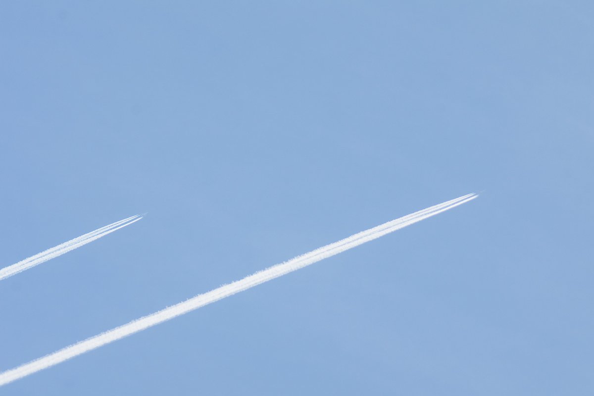 あ づ き ち tweet media