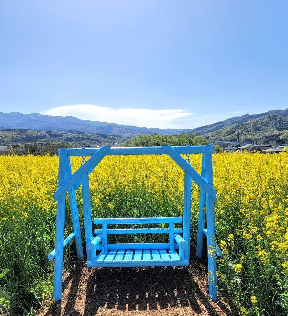 yu-。⚽🌸🌷 tweet media