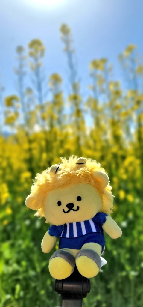 yu-。⚽🌸🌷 tweet media