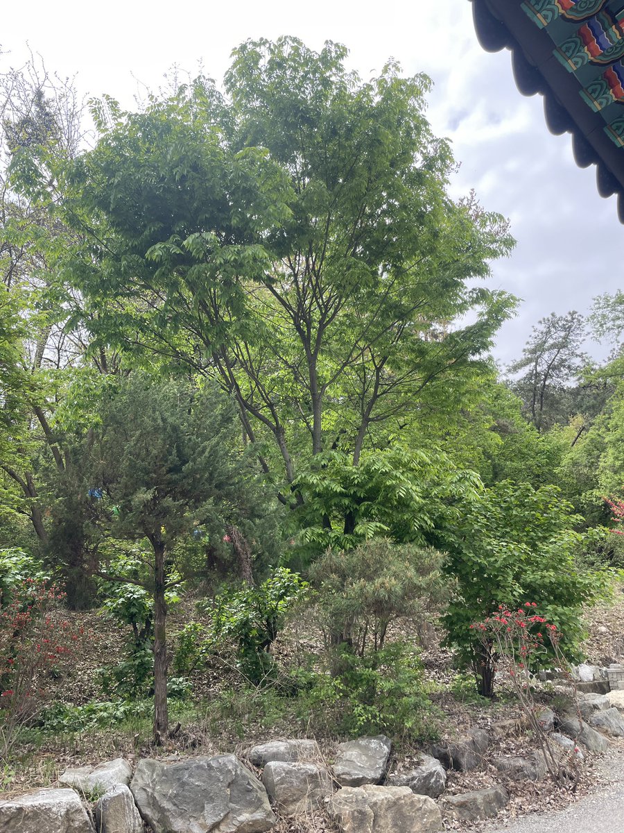 돈백이 tweet media