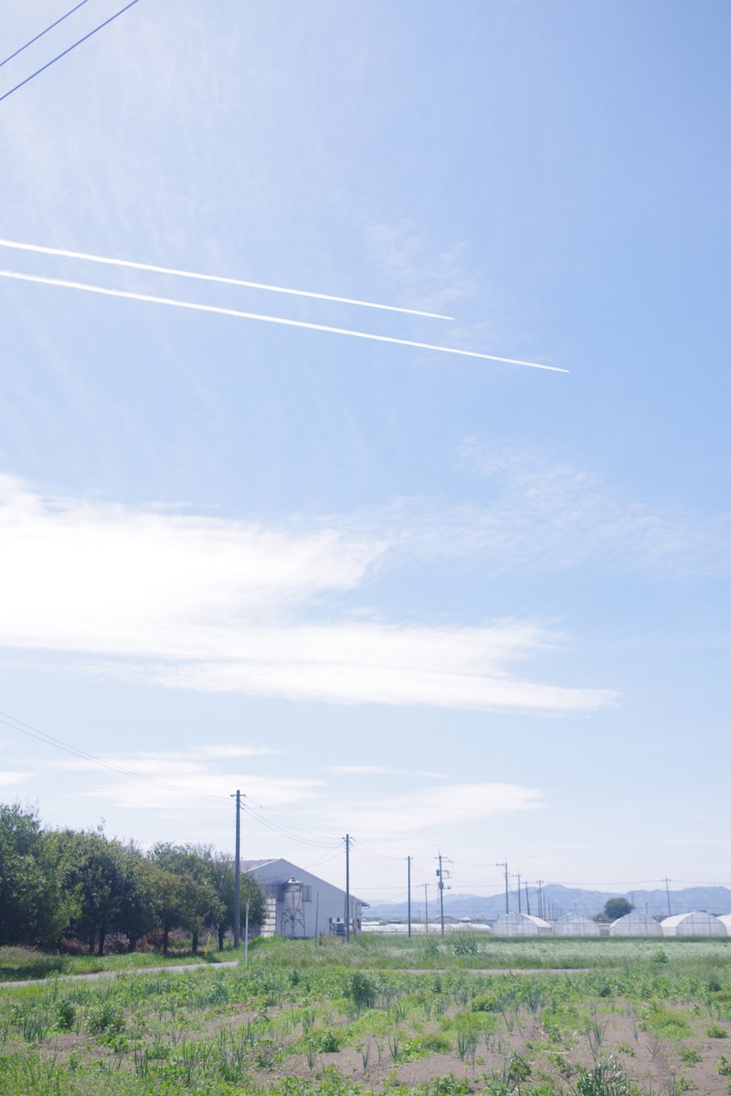 あ づ き ち tweet media