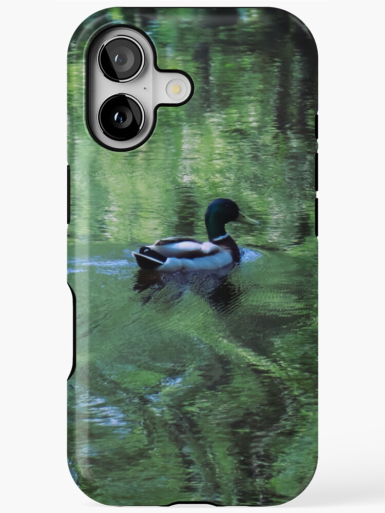 HurmerintaArt's tweet image. A wonderful mallard swimming in a small sea bay. The green tree branches make amazing reflections on the water.   
#birdphotography 
#phonecases 
#wallart 
#giftideas 
#mallard 
redbubble.com/i/iphone-case/…