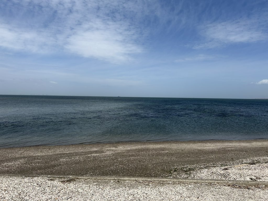 きのこバター tweet media