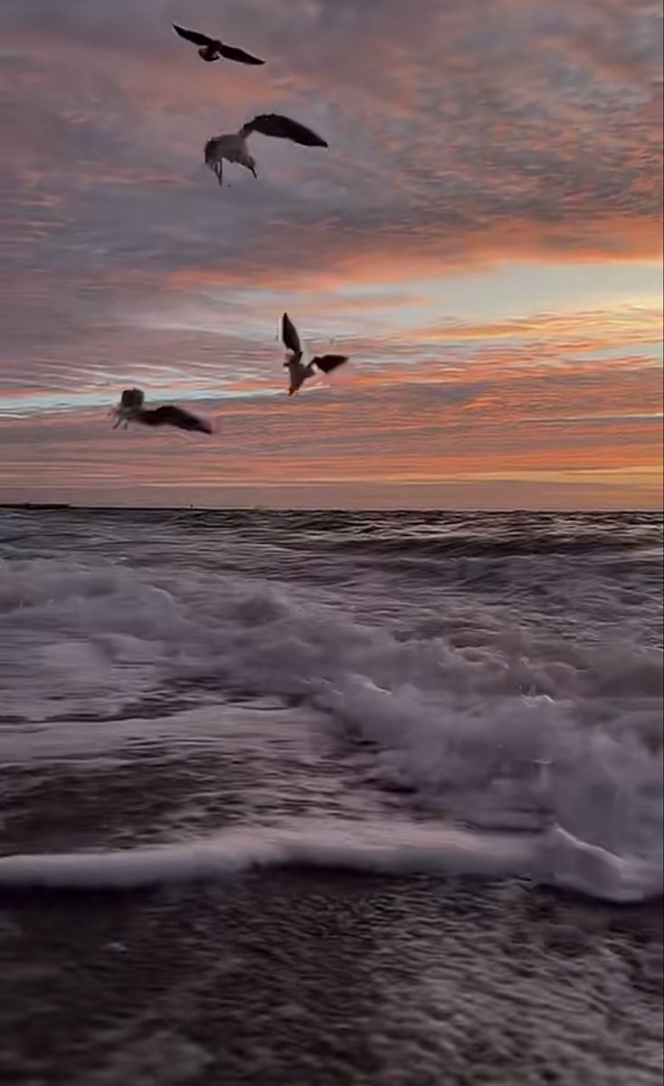 رحمه السريري tweet media