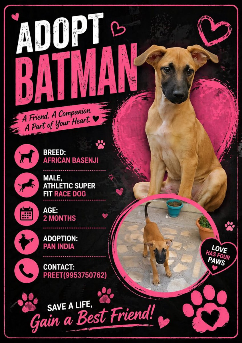 Narender Yadav 🇮🇳 tweet media