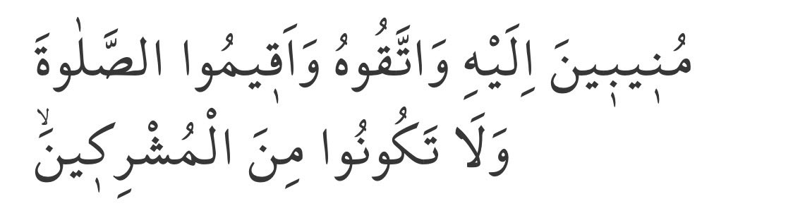Yalnız O'na yönelin ve O'ndan korkun; namazı kılın ve (Allah'a) ortak koşanlardan olmayın.

Rûm | 31