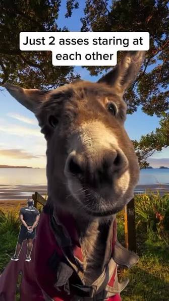 edwardmaguirre@msn.com tweet media