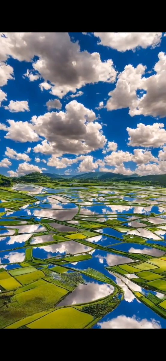 Jersey28694594's tweet image. Happy Wednesday sweet souls 💚💚
#goodmorning #humpday