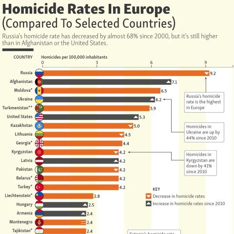 OЗDIPOVICH 🌻🧸🌻 tweet media