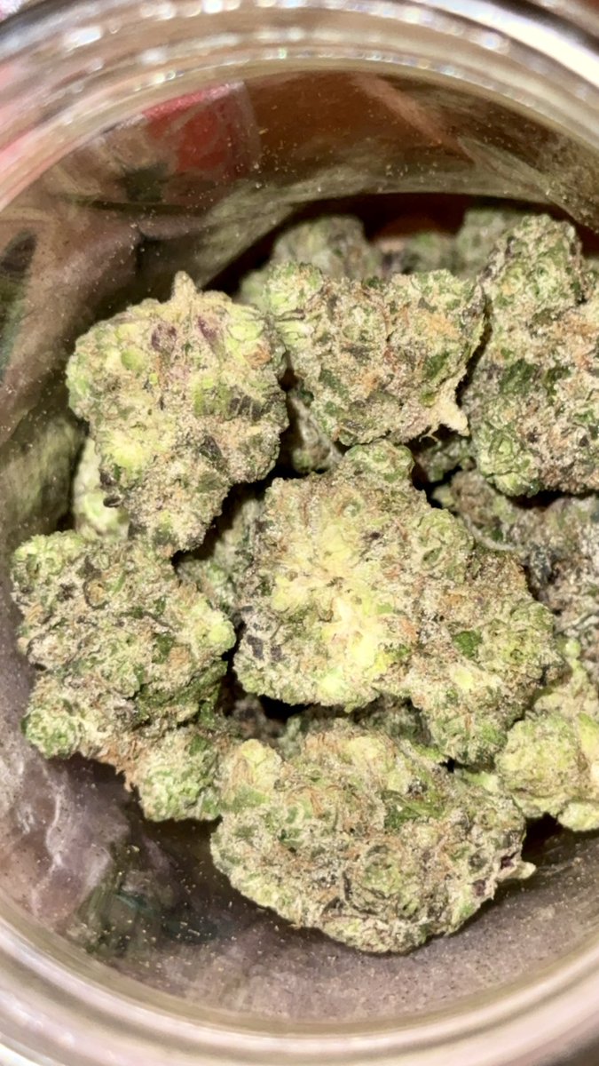 𝒜𝓃𝑔𝑒𝓁🪽 tweet media