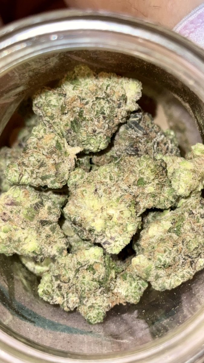 𝒜𝓃𝑔𝑒𝓁🪽 tweet media