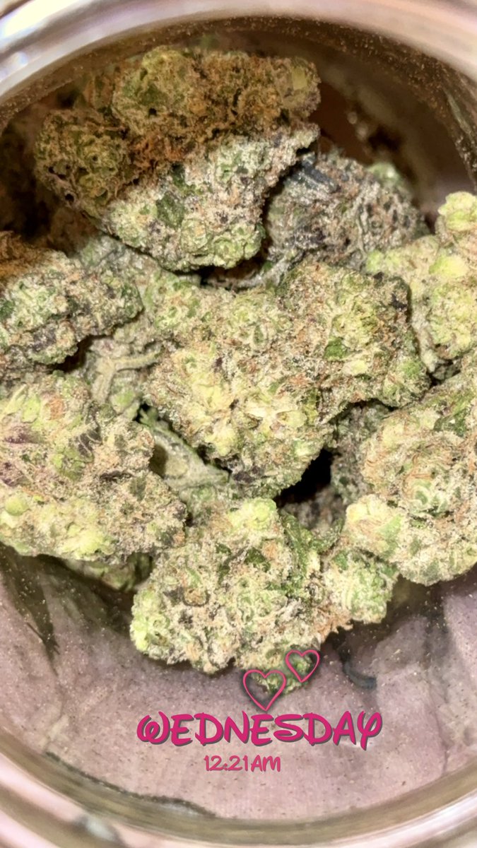 𝒜𝓃𝑔𝑒𝓁🪽 tweet media