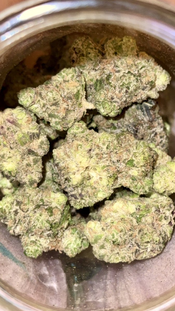 𝒜𝓃𝑔𝑒𝓁🪽 tweet media