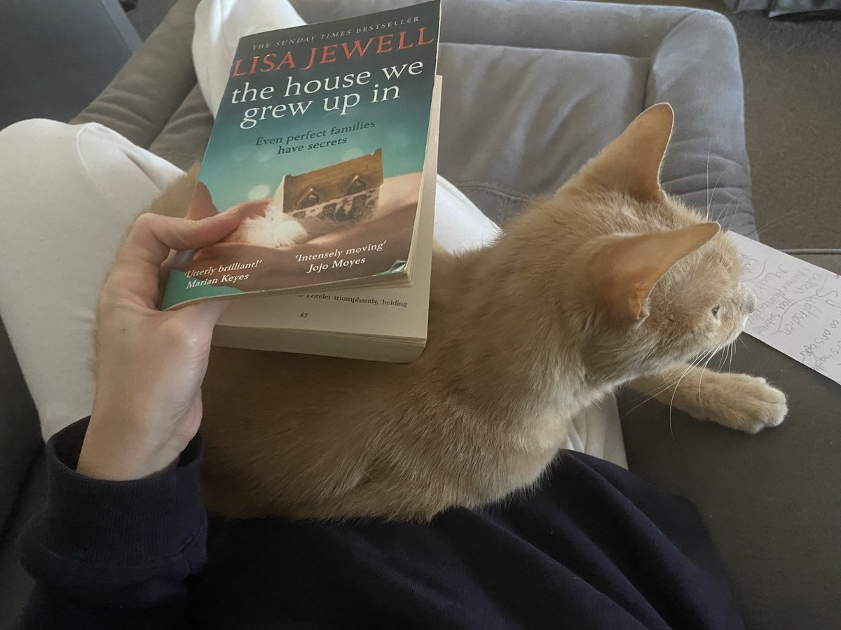 kbowmanwriter's tweet photo. This guy’s been meowing at me for days, so I think he’s a bit happy I’m finally spending an afternoon reading on the couch https://t.co/kQ7ZvMGB0G