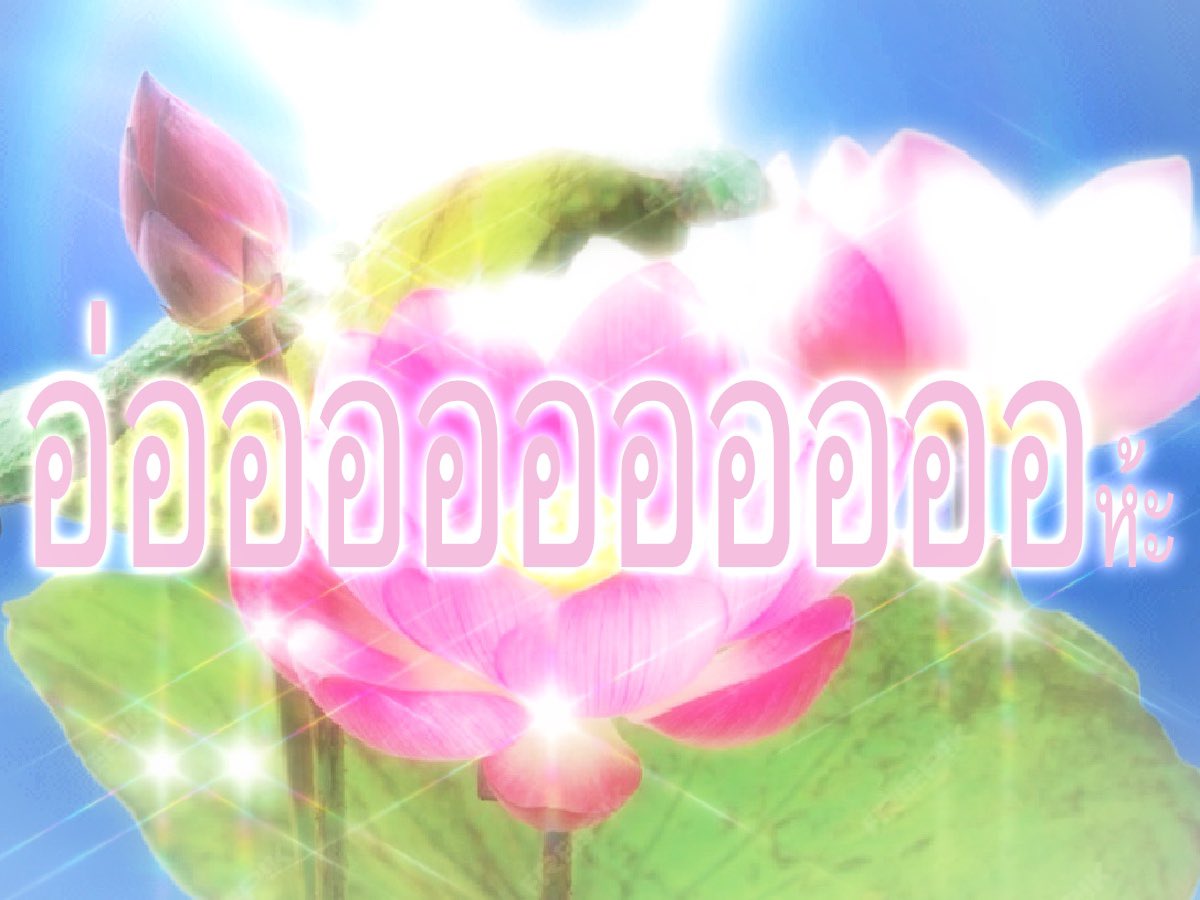 กาเบม tweet media
