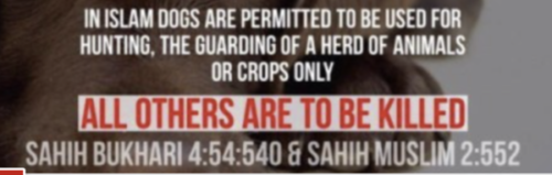 StevenS23337721's tweet image. Gee, I wonder who could be POISONING so many #dogs in #London parks?
Surely not members of the "religion of compassion"?

Perhaps it's people whose #religion considers dogs to be FILTH, with the exception of working dogs.

[video]
barenakedislam.com/2026/04/21/gee…