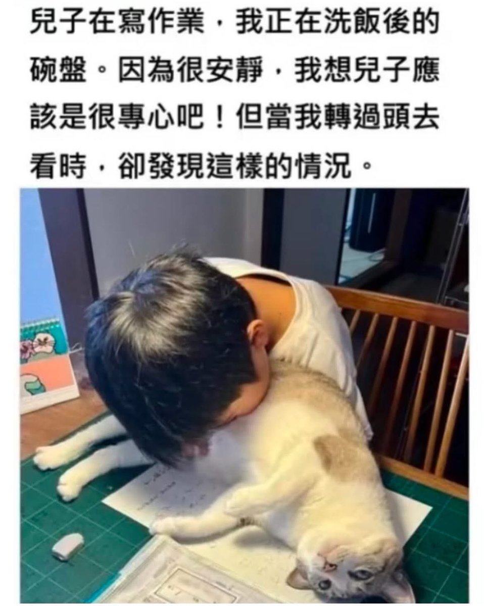 陳少5.0 tweet media