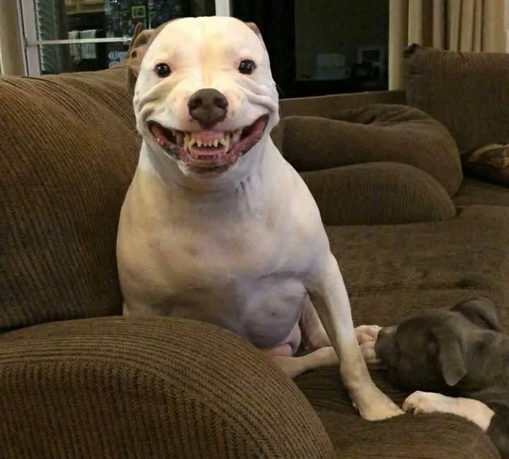 ­ ­Man­† tweet media