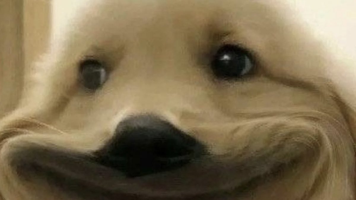 มันจามีอยุ่ฉองคน…