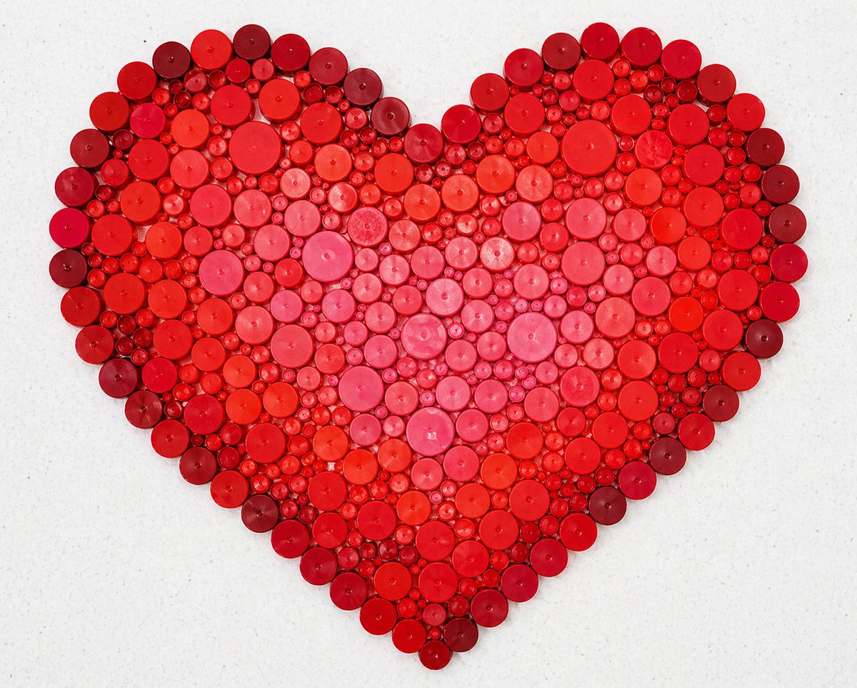 Ely Caro tweet media