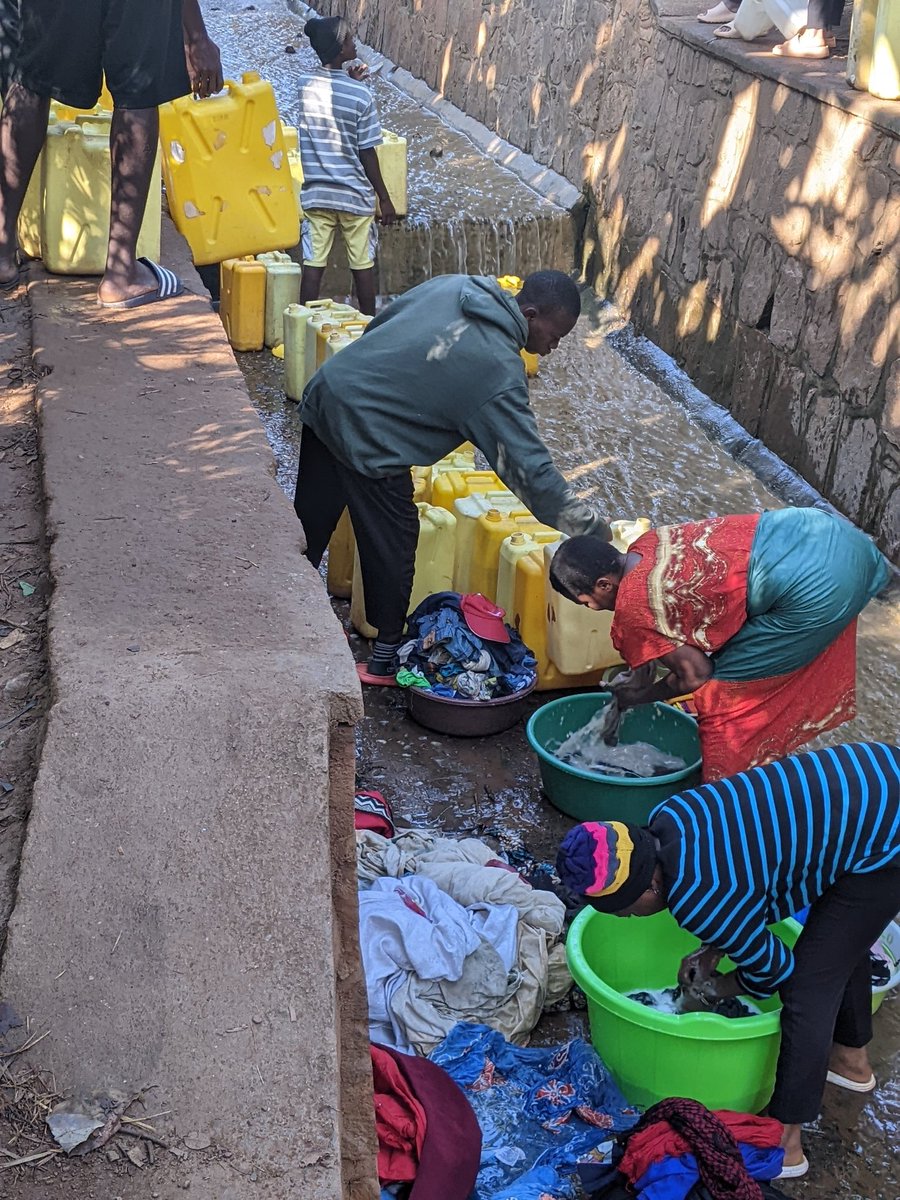 Muzehe bruno tweet media