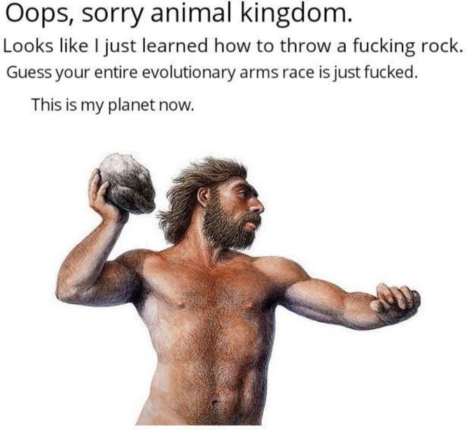 Daily Roman Updates tweet media