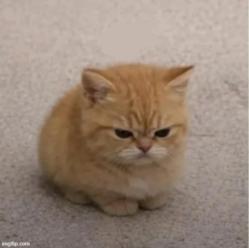 naiivememe's tweet image. won’t sleep if Bitcoin does not 80k tonight.

Drop the mic