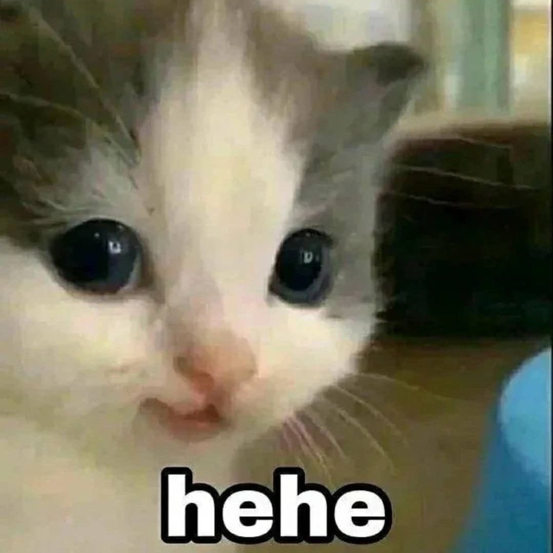 tiramiseww tweet media