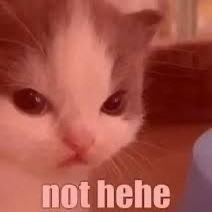 tiramiseww tweet media