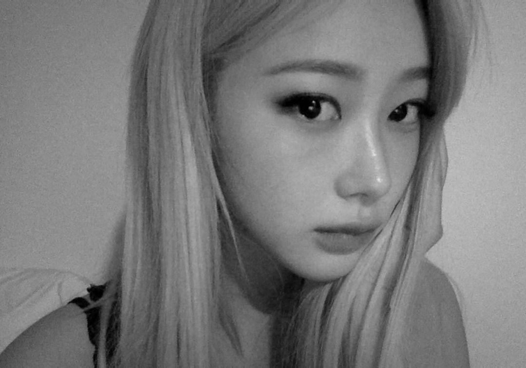 Woodsy Corner. tweet media