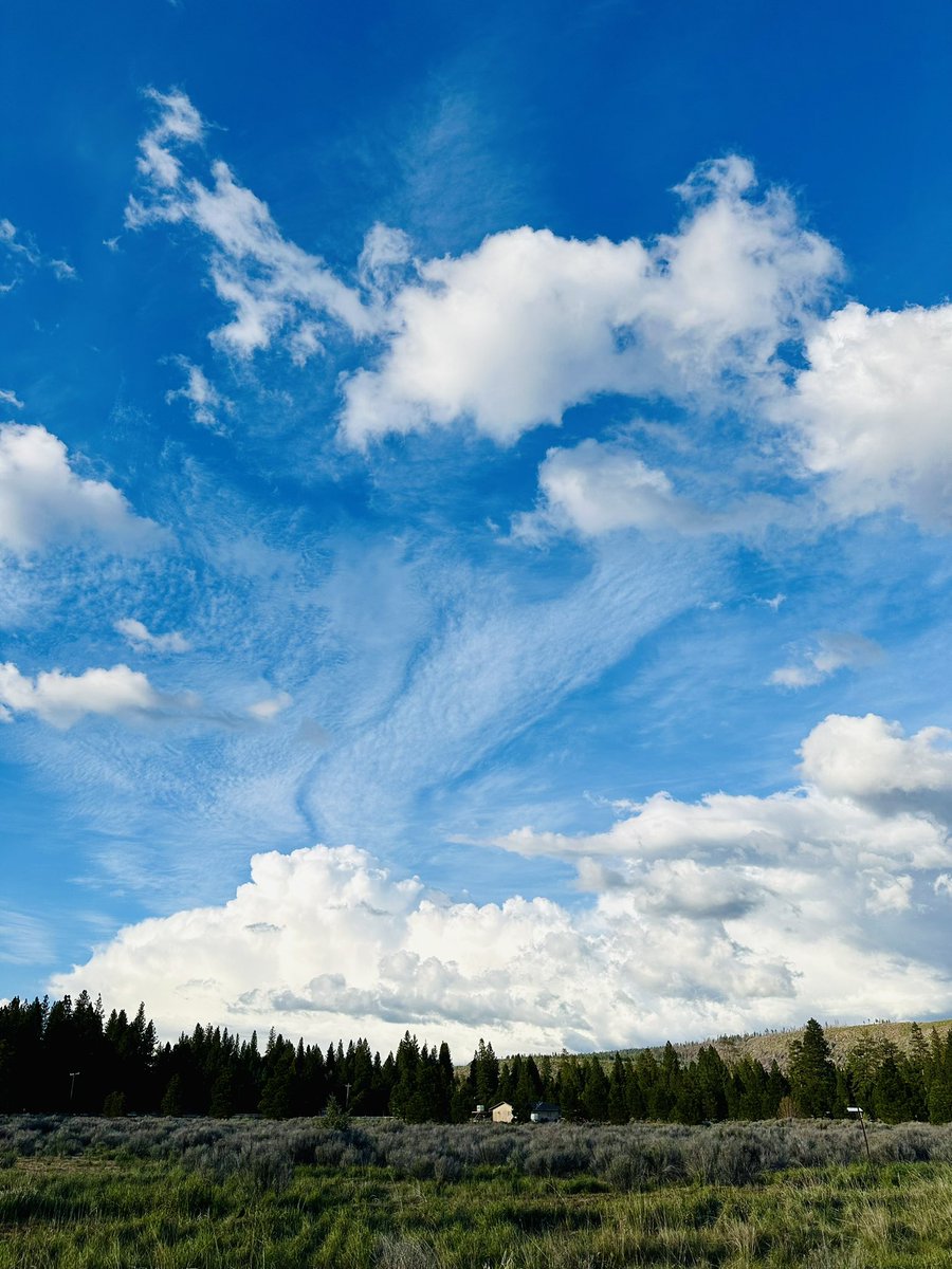 ImmortalLaura's tweet photo. @admired_art This sky 🩵🤍 https://t.co/GDLwQp0AU5