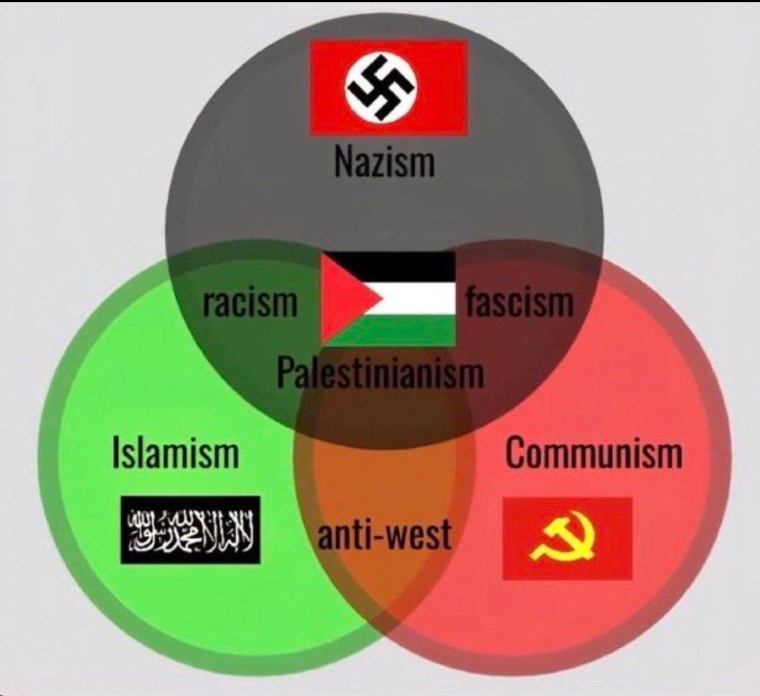 Arvid Andersson tweet media