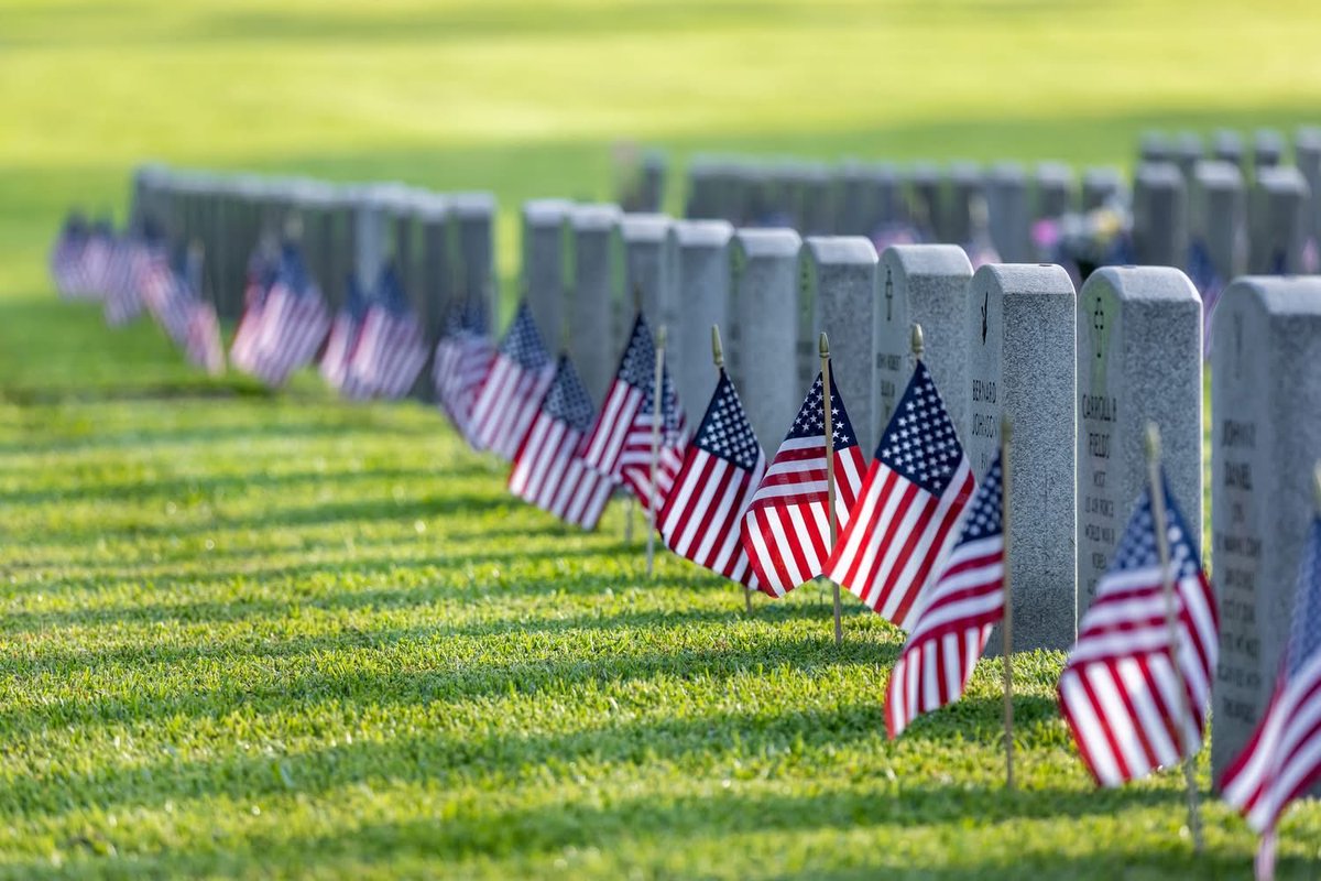 Boone Cutler 🦬🇺🇸 🦅 tweet media