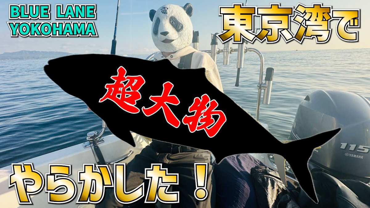 dennoupanda's tweet photo. あの時の東京湾…
楽しかったなぁ〜🤤
【大型魚】今年の東京湾は大変な事になってる！？ブレード巻いてりゃ誰でも釣れちゃう“お祭”状態！ https://t.co/Ek4jP7cFEU @YouTubeより https://t.co/9i9h40r1dT