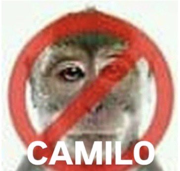 Mati #AIDENWEEK Q_ARE IS COMING!! tweet media