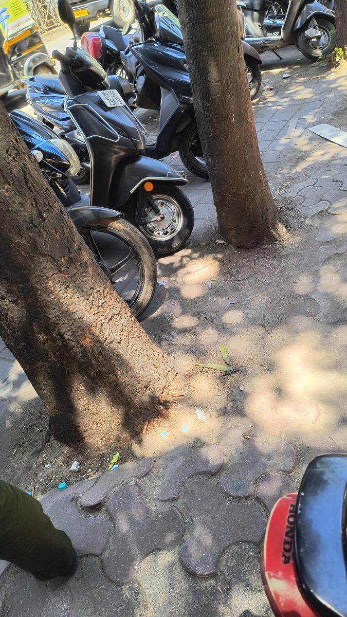 ✊  "Surajya Abhiyan"
🌳 In many places, trees are dying due to the installation of concrete around them.  It should be made mandatory to leave space around trees in government tenders.!  #SaveTreesFromConcrete