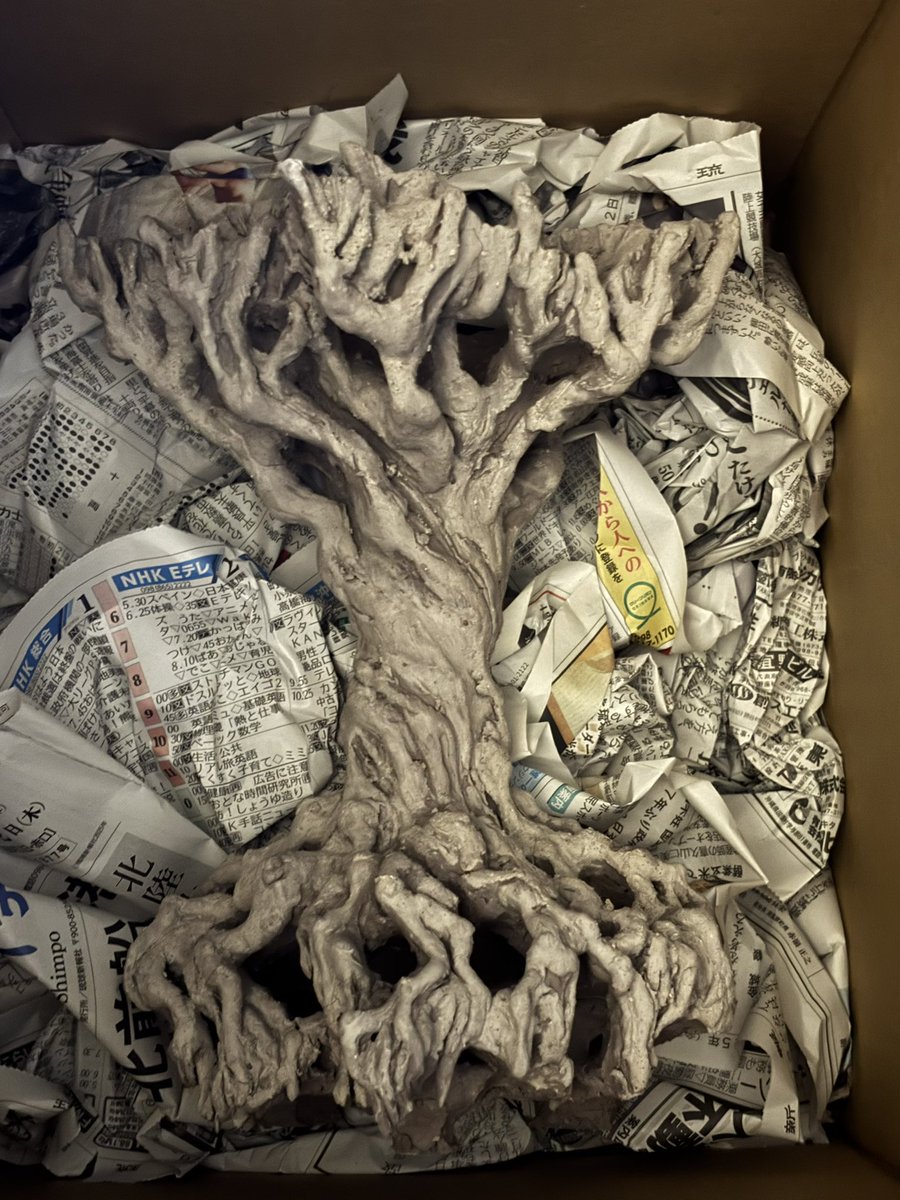 【公式】Shelta Craftα ∞ αsat アクアリウムシェルターrezj tweet media