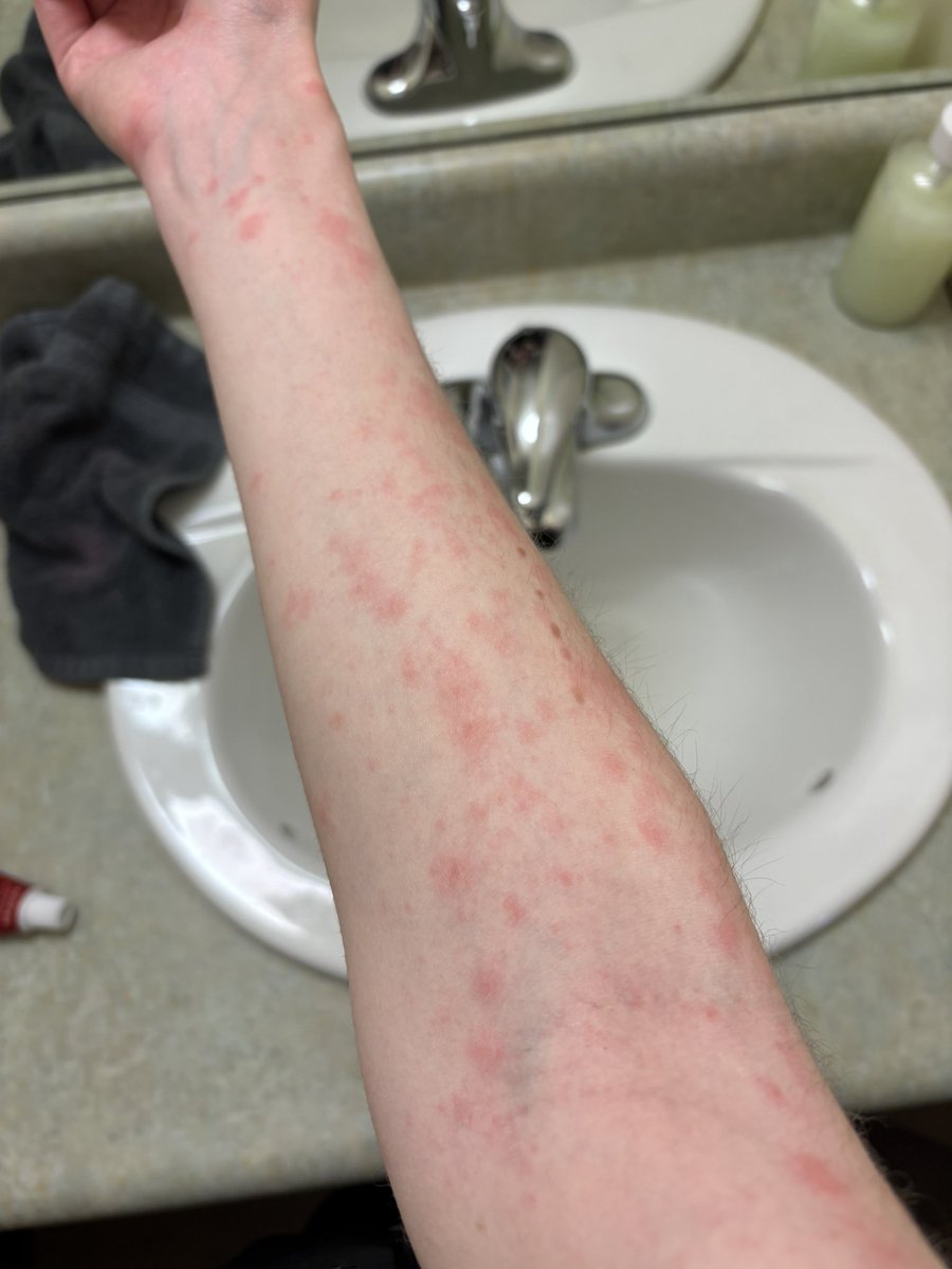 x - mau 🏒 tweet media