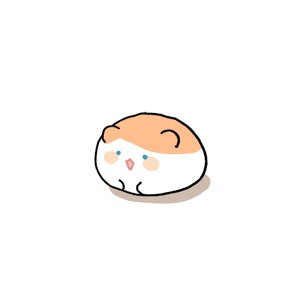 🔸️햄뵤 tweet media