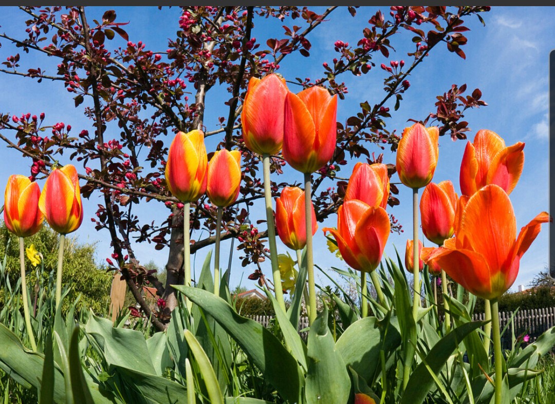 Wednesdays are tough, but so are you.
#Wednesday #Wednesdays #tough #but #so #you