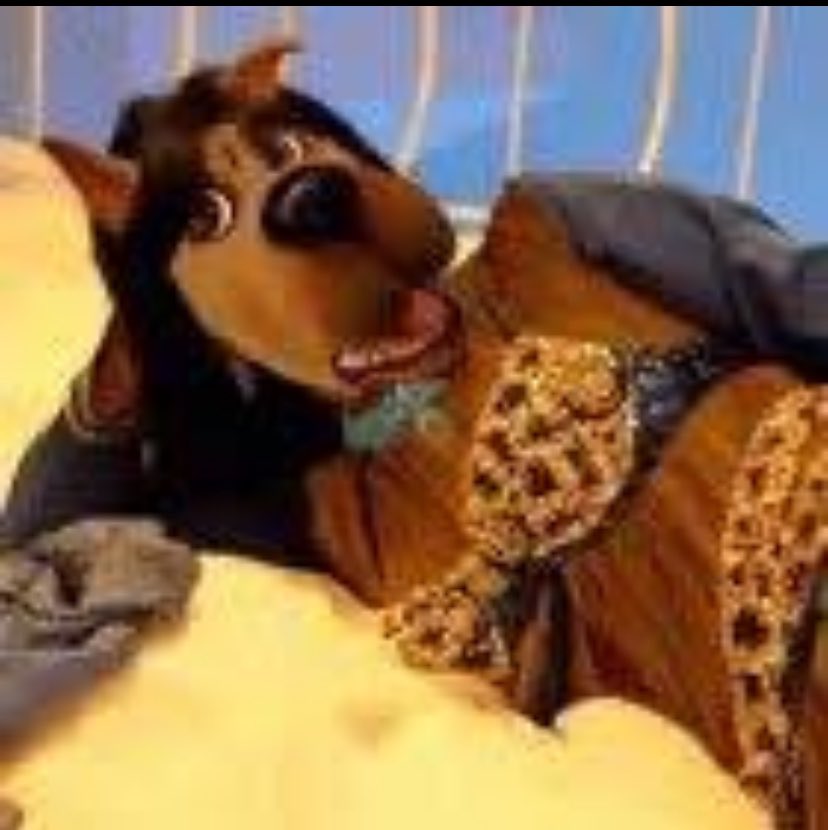 Vini ❤️‍🔥 tweet media