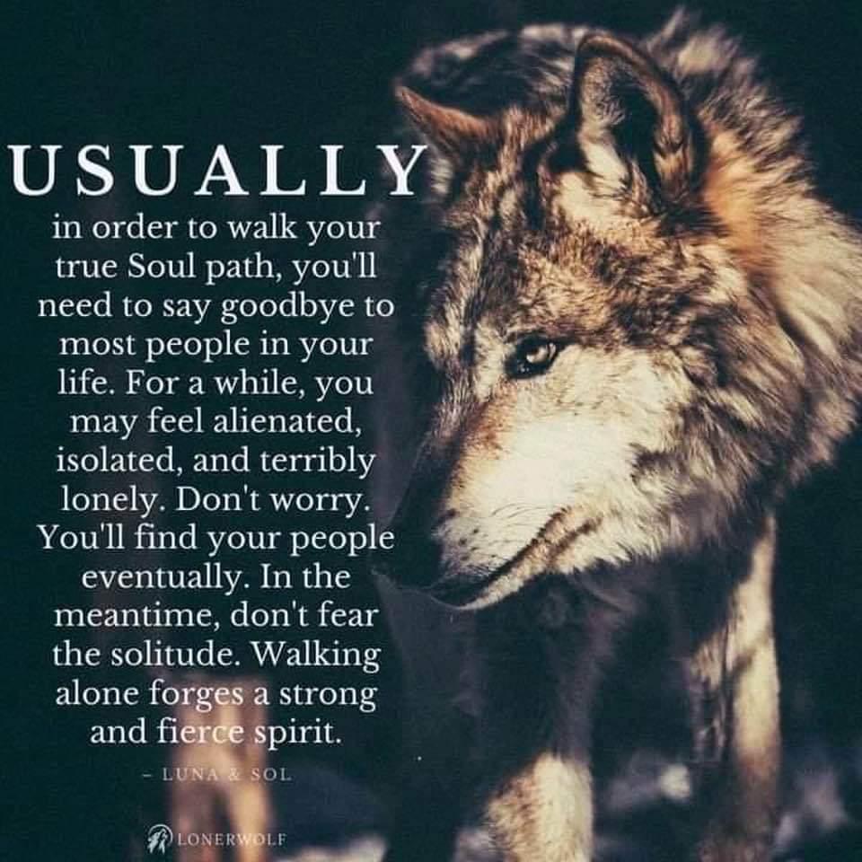 Protocol Widow tweet media