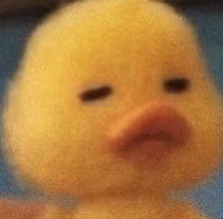 Nini 지니 ⟢ tweet media